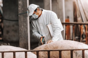 Veterinario-Zoosanitarios-Bioseguridad-Bienestar Animal